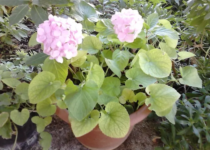 Apartments With Parking Space Zadar - Diklo, Zadar - 13327 Zadar